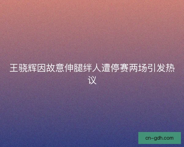 王骁辉因故意伸腿绊人遭停赛两场引发热议