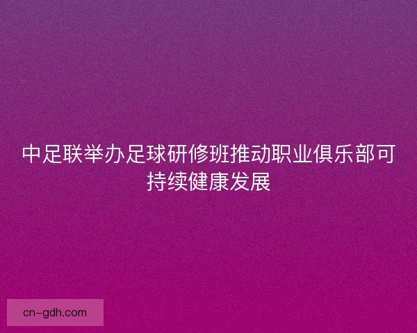 中足联举办足球研修班推动职业俱乐部可持续健康发展