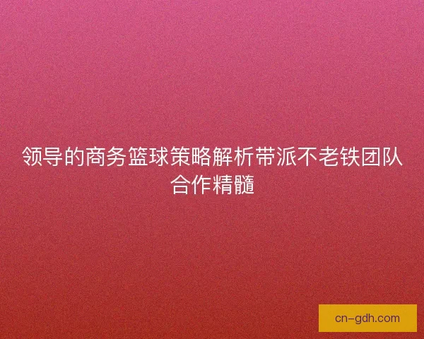 领导的商务篮球策略解析带派不老铁团队合作精髓