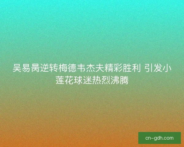 吴易昺逆转梅德韦杰夫精彩胜利 引发小莲花球迷热烈沸腾
